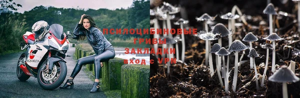 СК Бугульма