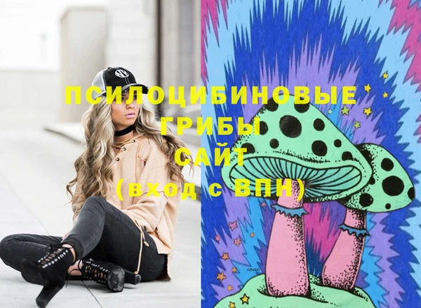 СК Бугульма