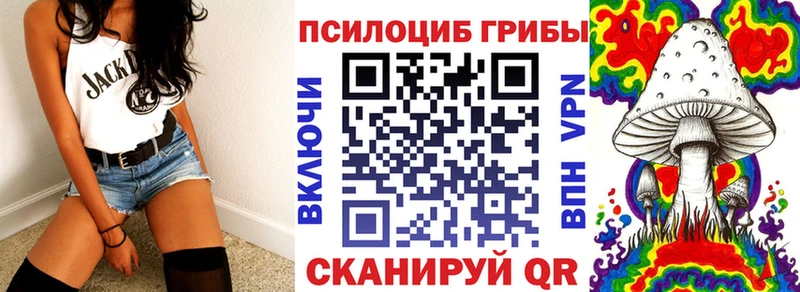 Купить  Выборг  Псилоцибиновые грибы Psilocybine cubensis 
